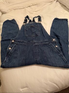 GAP Women's Dark Blue Denim Overalls